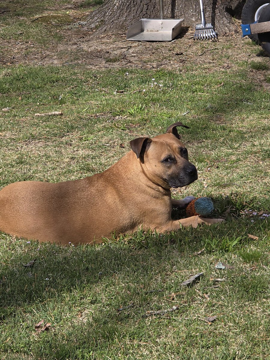 Don 🇺🇲🍀 tweet media