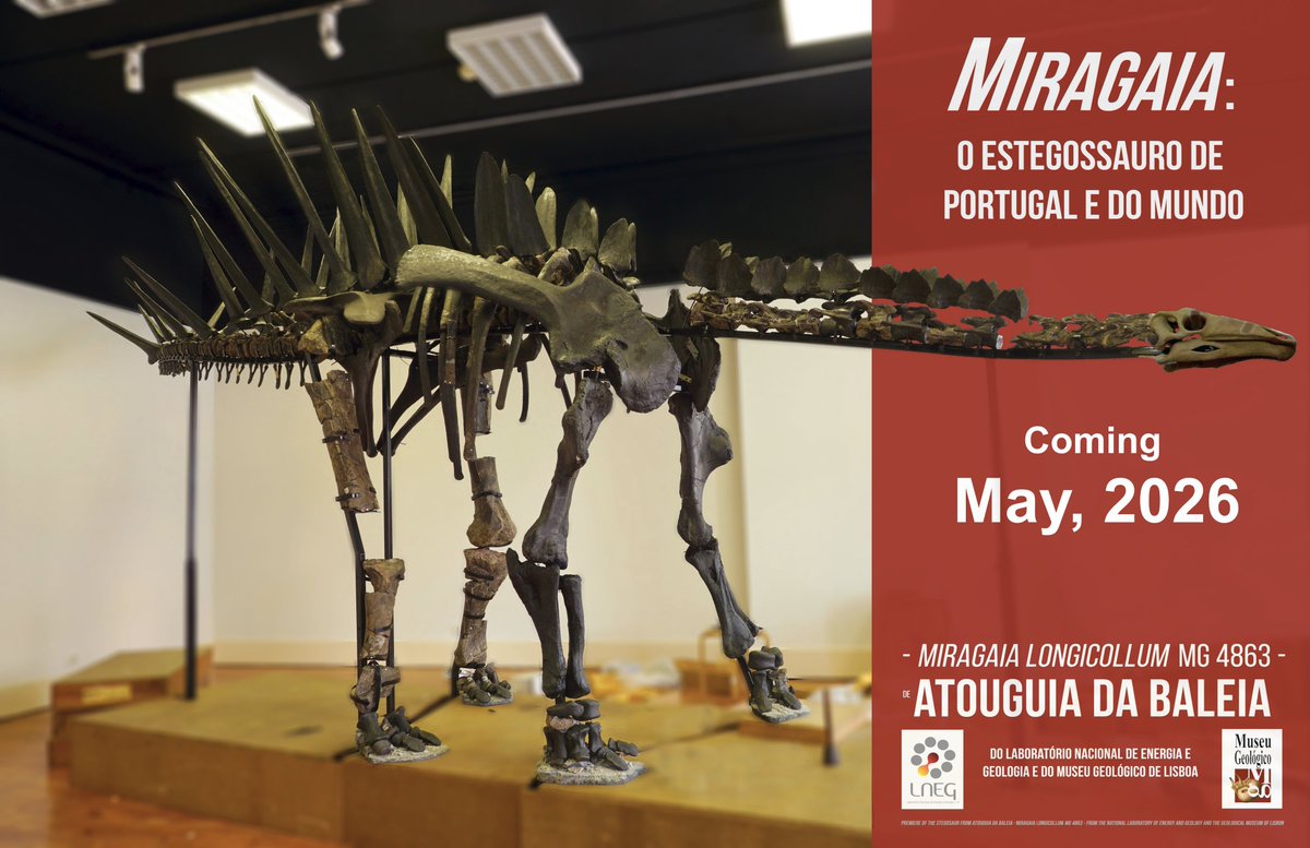 Francisco Costa P. tweet media