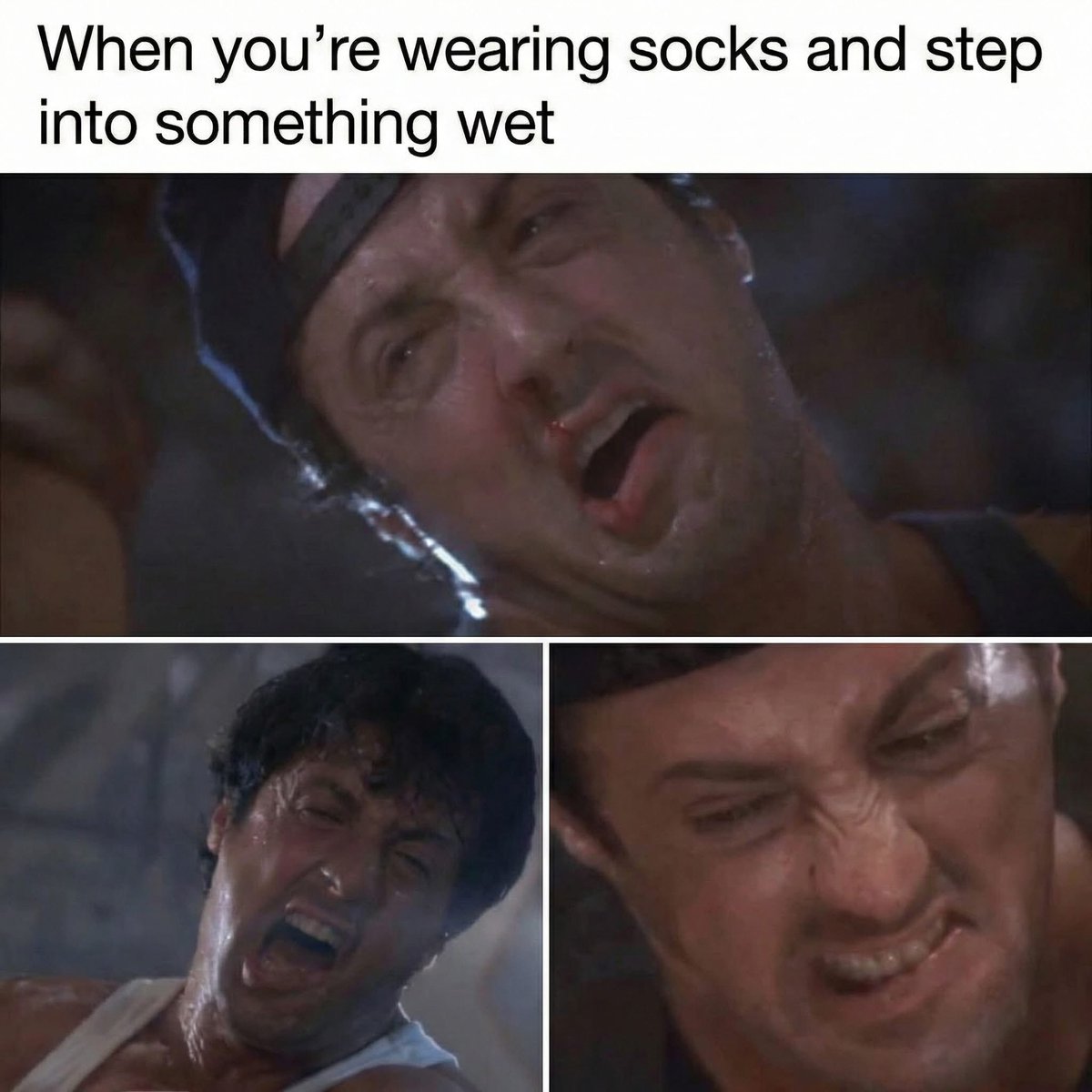 Annette Michelle tweet media