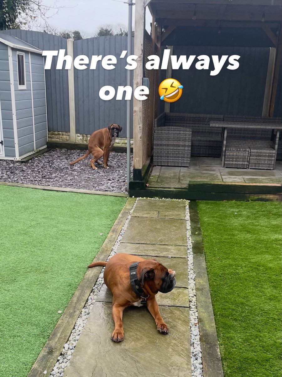 Mrs_L.com tweet media