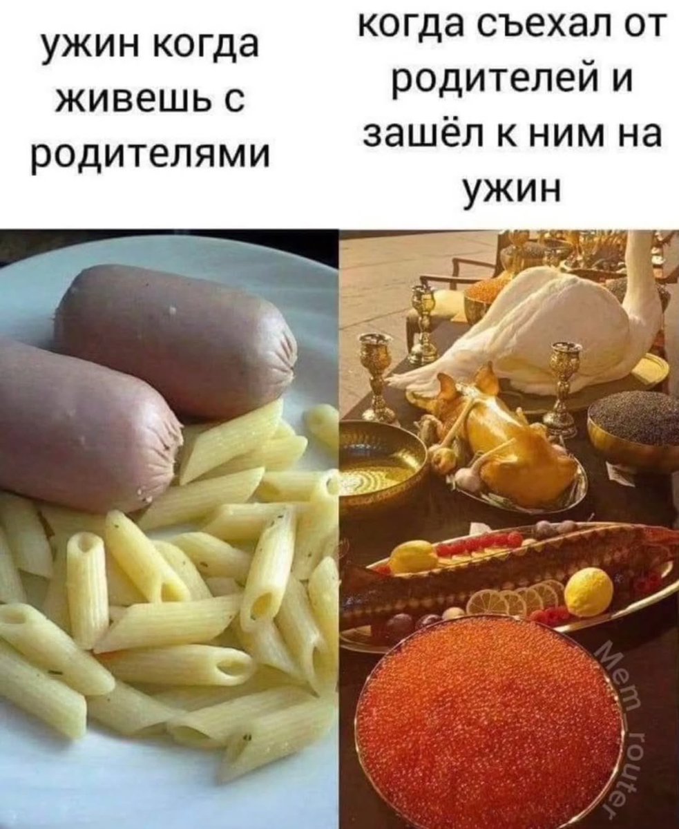 Ascetic Traveler tweet media