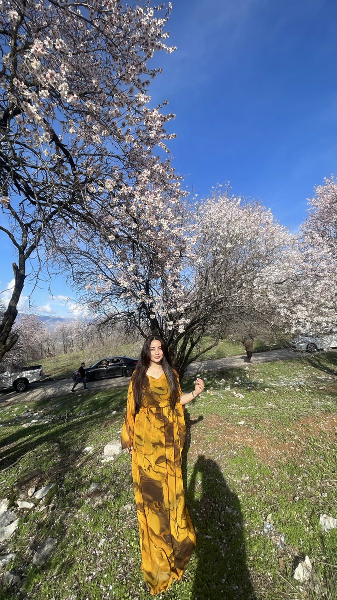 ‏‎‏﮼درخشان✨ tweet media