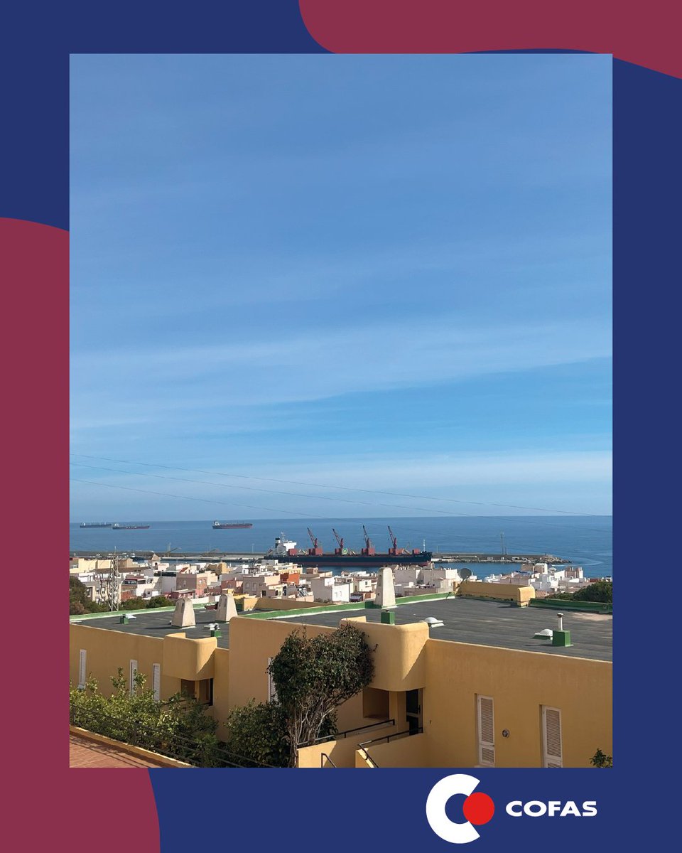 COFAS (Cooperativa Farmacéutica Asturiana) tweet media