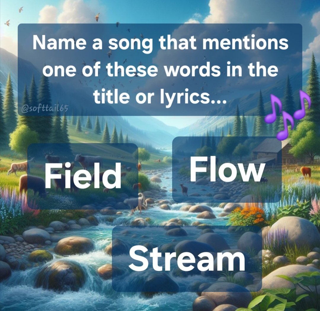 Monica 💙🌻🏳️‍🌈 tweet media