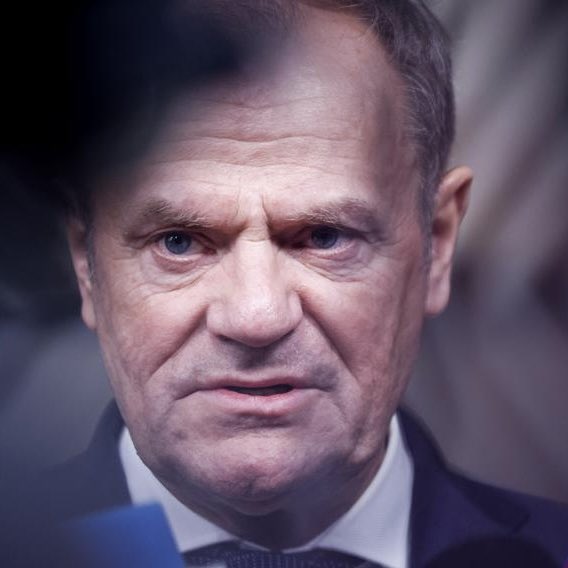 Konrad Berkowicz tweet media