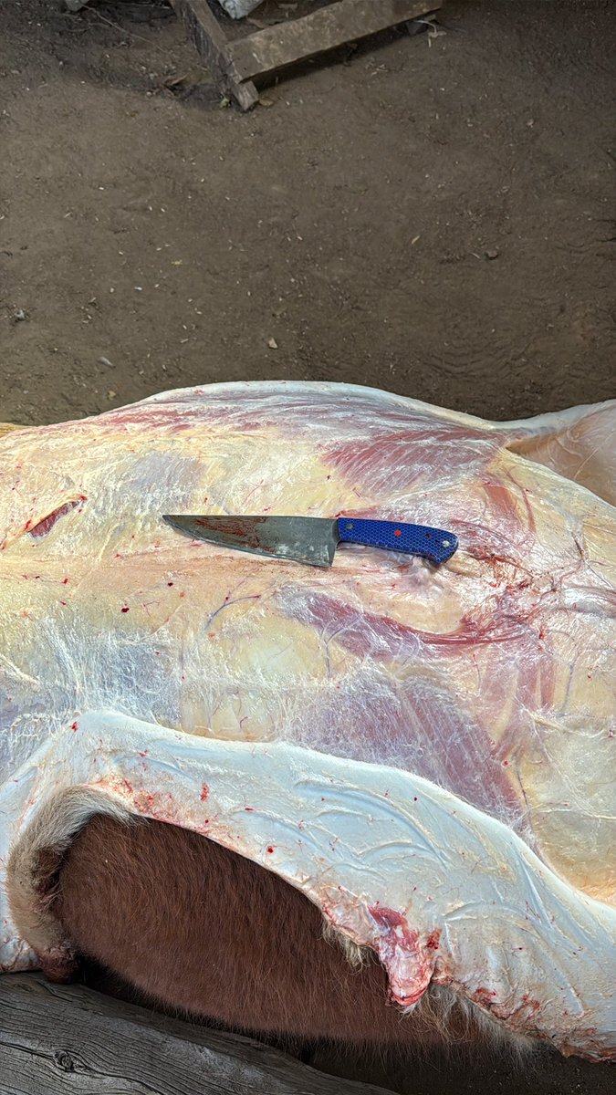 Jeremias G. Butto 🦁 🍋 🥩🐠🍗🍖🍳🥑🧀🍷🥃 tweet media