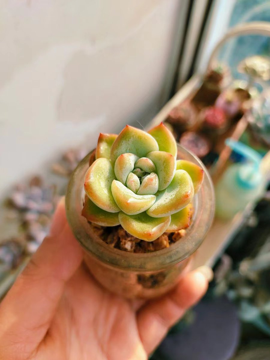 yagouba balde tweet media