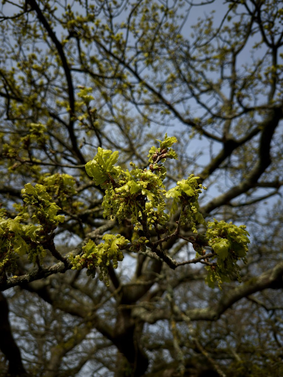 Absolutely Wild tweet media