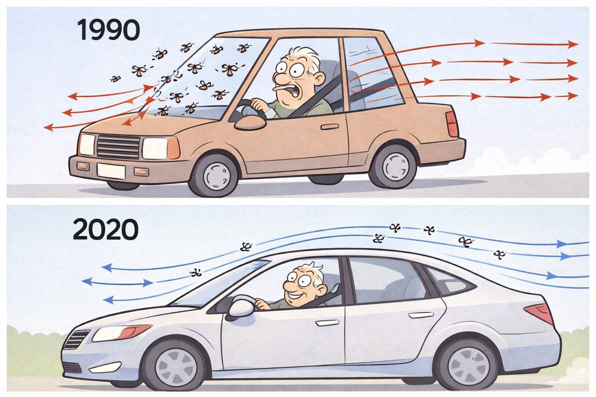 Elfa dos Insetos 🐛🦋 tweet media