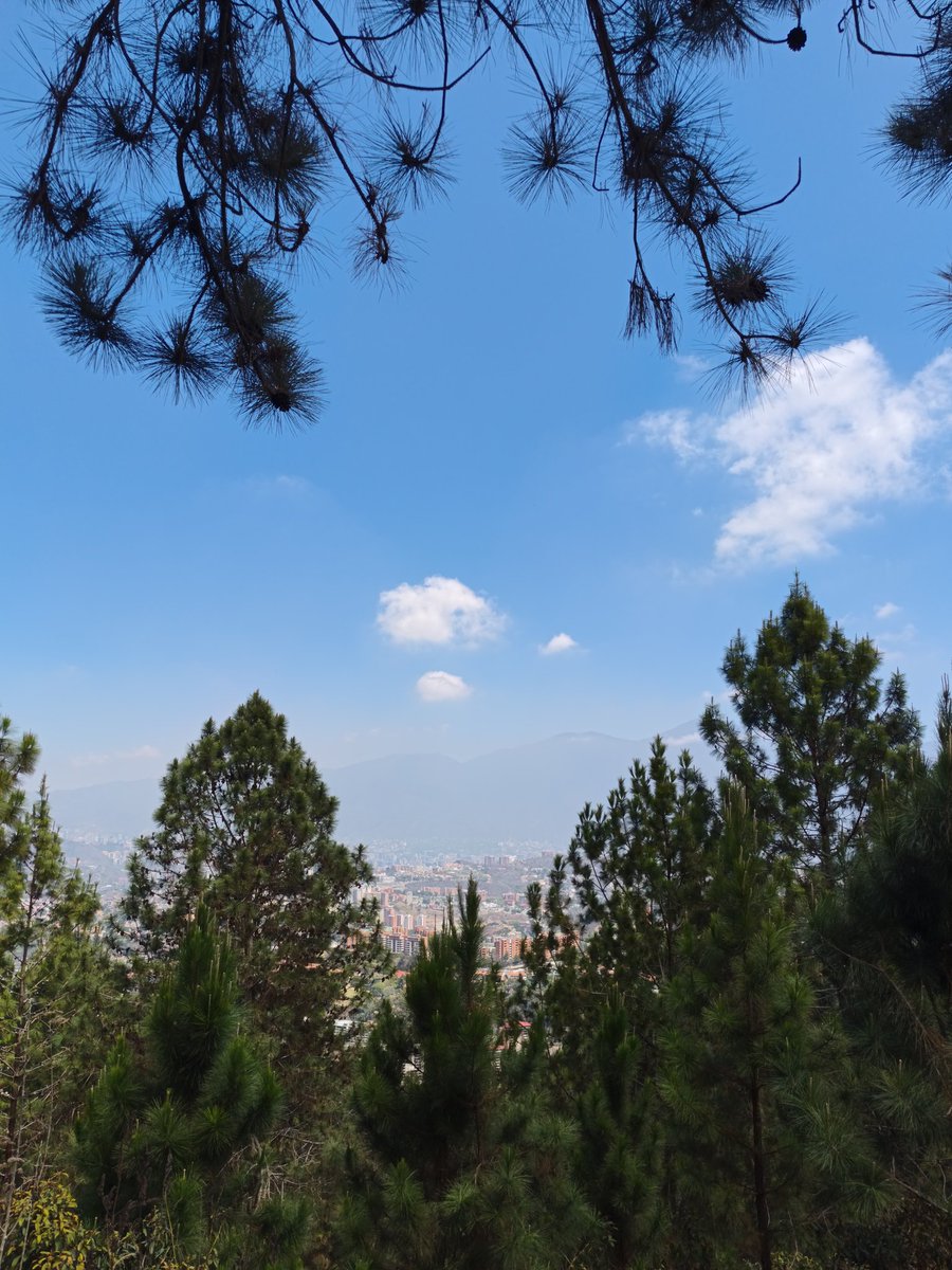 Sunshine 💙🇻🇪 tweet media