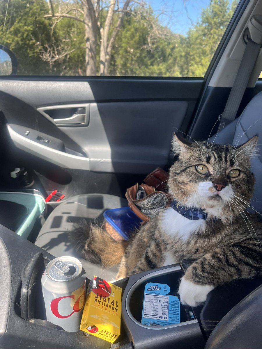 ms.hotdog ❤️‍🔥 tweet media