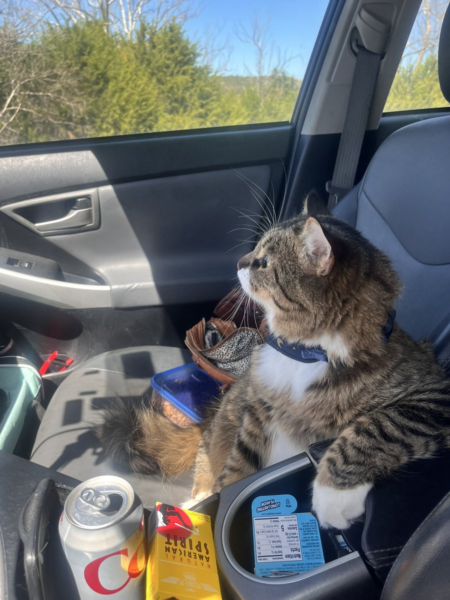 ms.hotdog ❤️‍🔥 tweet media