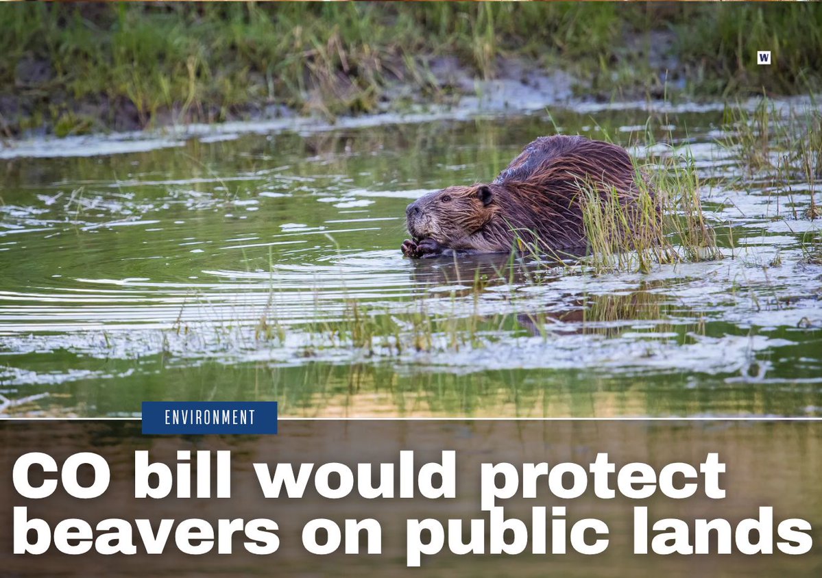 Western Livestock Journal tweet media