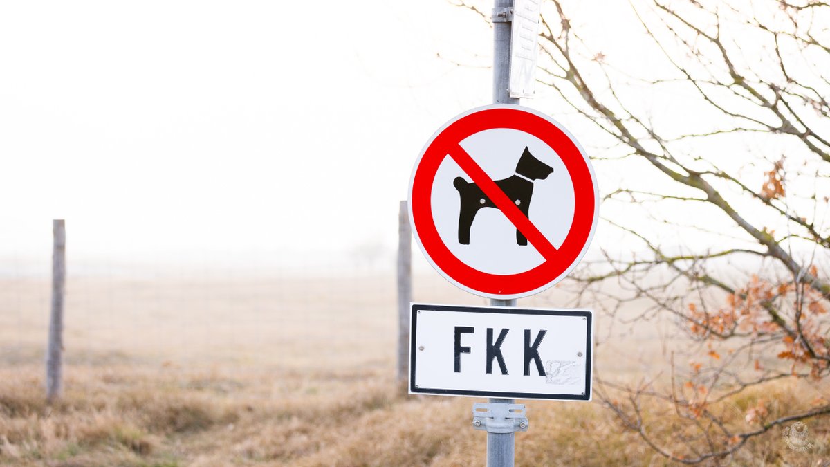 𝔘𝔭 𝔢𝔴𝔦𝔤 𝔲𝔫𝔤𝔢𝔡𝔢𝔢𝔩𝔱! tweet media