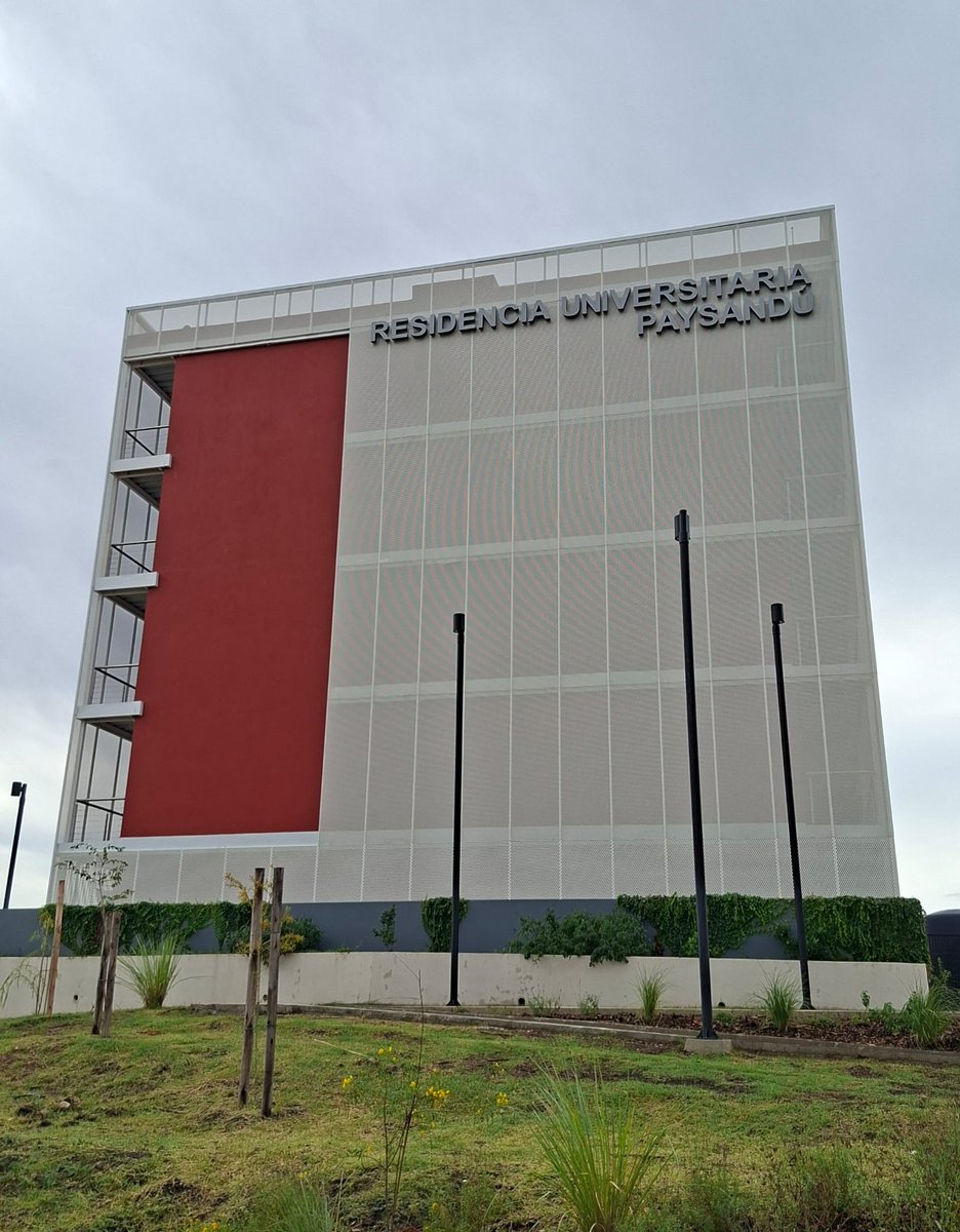 Jorge Xavier tweet media