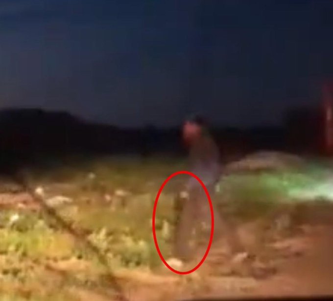 Greenhawker tweet media