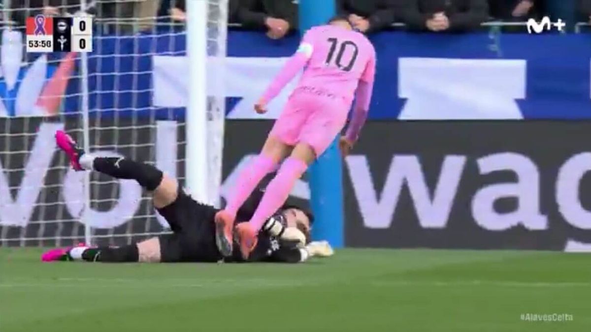 Баскский лиса tweet media