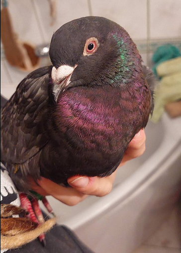 Dariusz Grochal tweet media