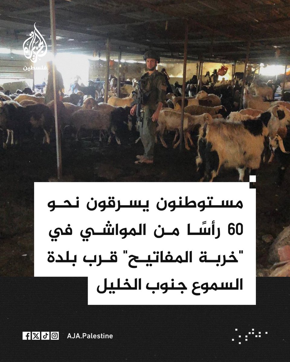 الجزيرة فلسطين tweet media