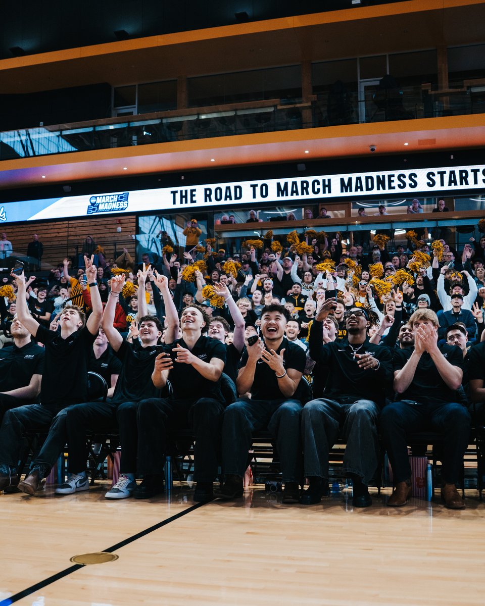 Idaho Basketball tweet media
