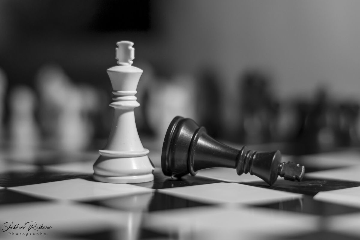 maria segura tweet media