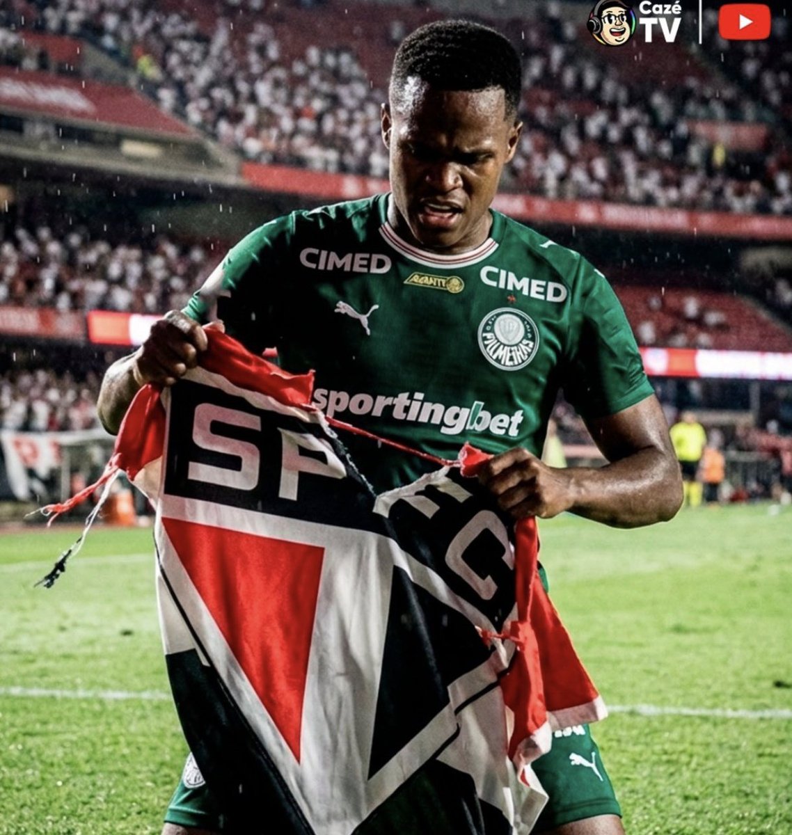 Falando de Palmeiras tweet media