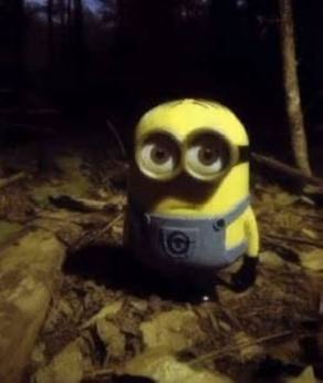 зайшла за посилкою на укрпошту, стою чекаю, поки дадуть мою посилку 

операторка: АРТЬОООООООМ ТУТ ЦЯ ХУЙНЯ КІТАЙСЬКА НЕ ПРОБІВАЄЦА

я: