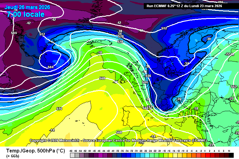 Daniele Vasilevski tweet media
