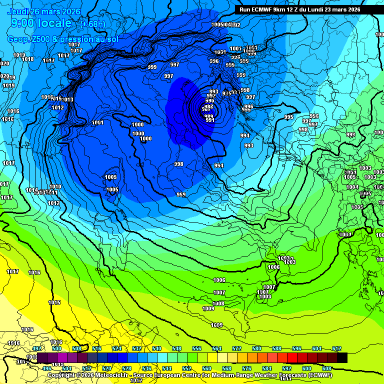 Daniele Vasilevski tweet media