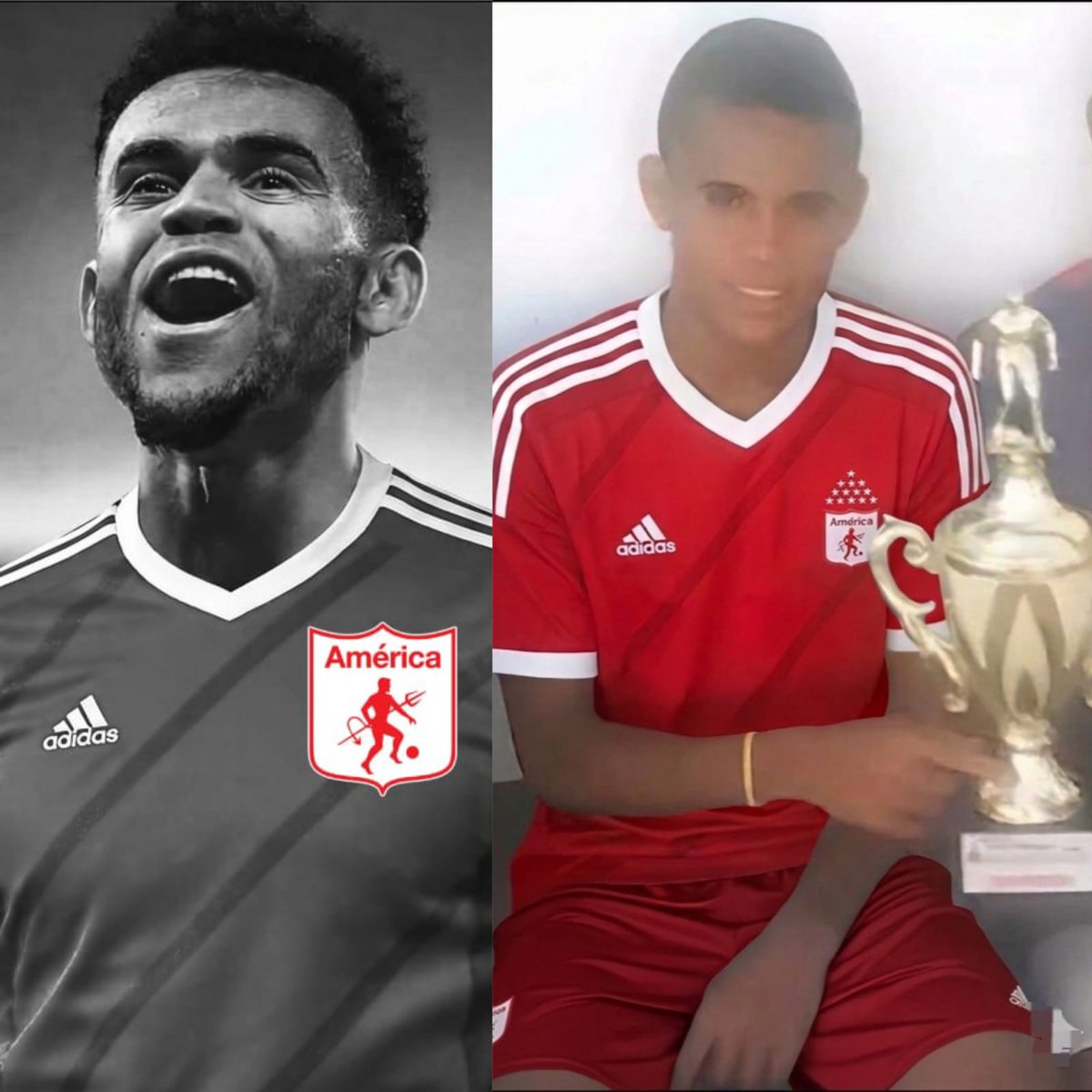 Gerdiabo tweet media