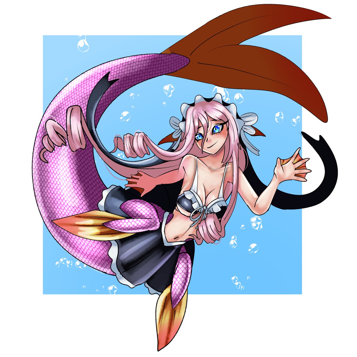 Baptistar2004 tweet media