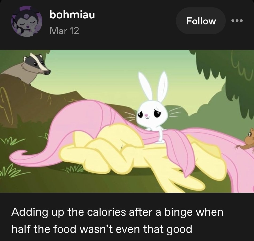 tumblrspo tweet media