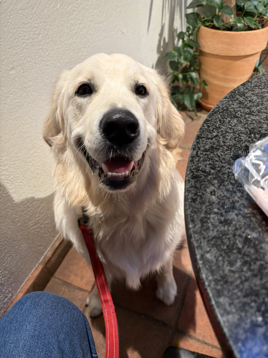 Quiet Storm tweet media