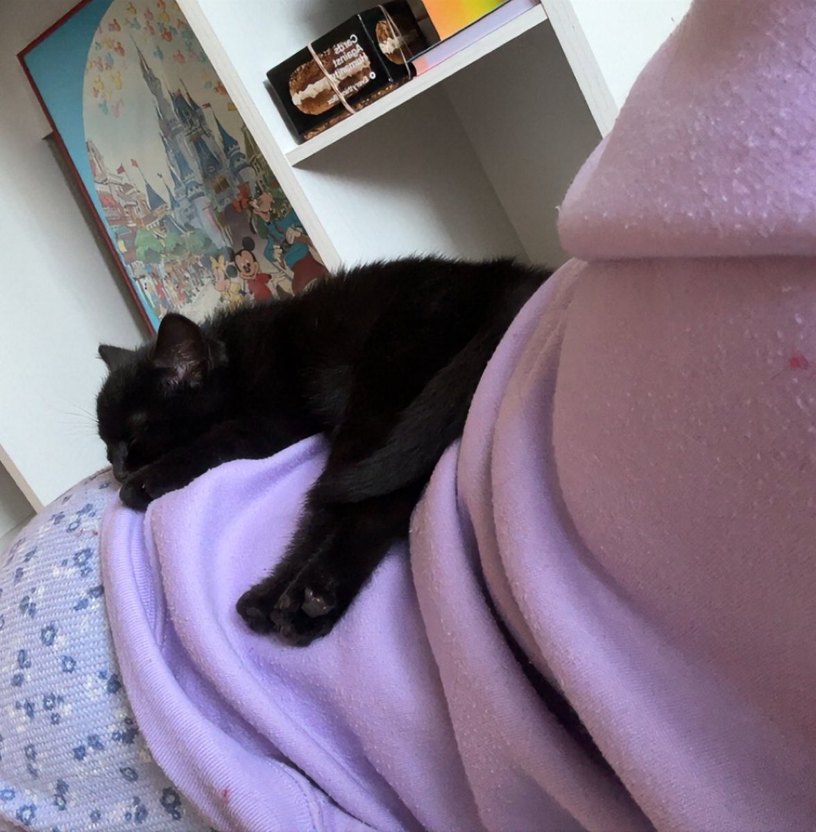 csea! 🩷 tweet media