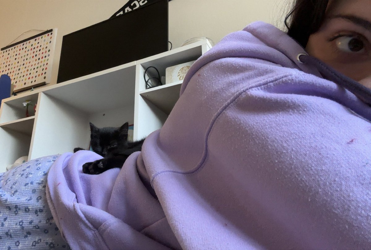 csea! 🩷 tweet media