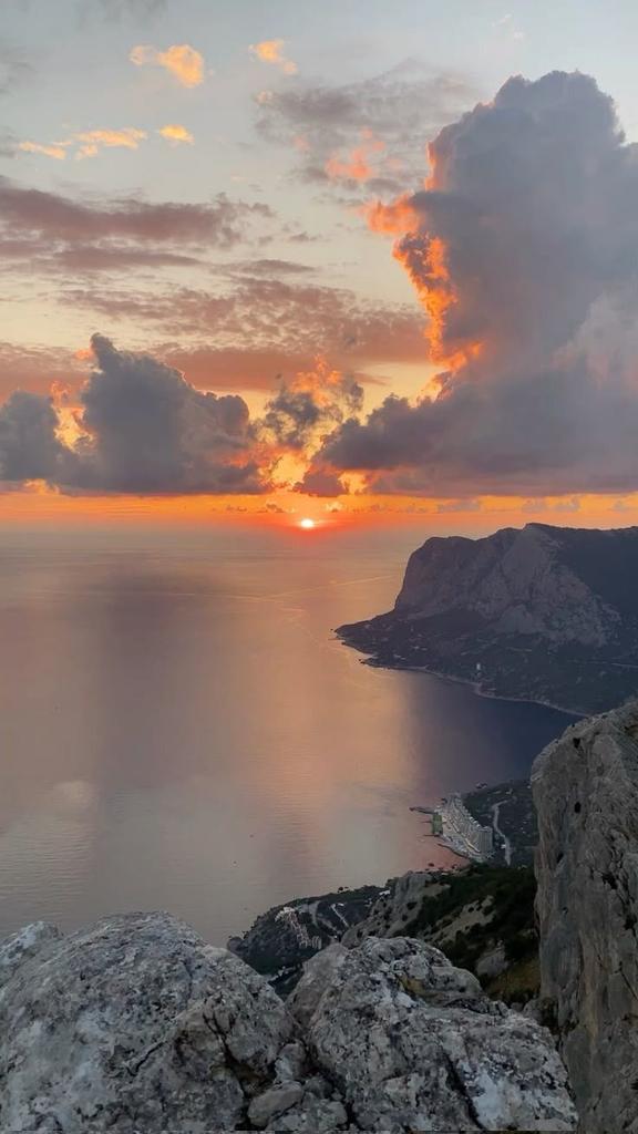 Aleksandar Mitrovic tweet media