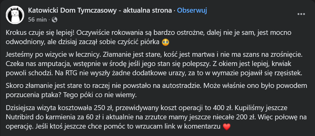 Dariusz Grochal tweet media