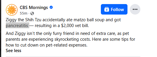 isendcoinshigh's tweet photo. This Shih Tzu was on CBS Morning news 

Ziggy the shih tzu  is going viral and was put on the news because it ate a soup ball and got pancreatitis

The dog is cute and loveable and the couple are having to pay $2000 for the bill.

He is going viral and was on the news!

$Ziggy

https://t.co/ifjFrC2ZSo