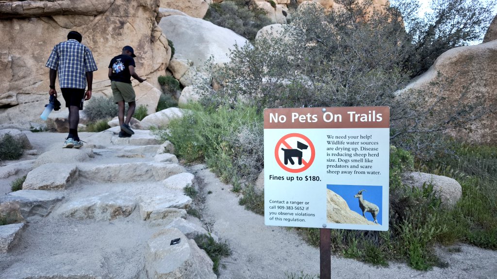 Tomahawk tweet media