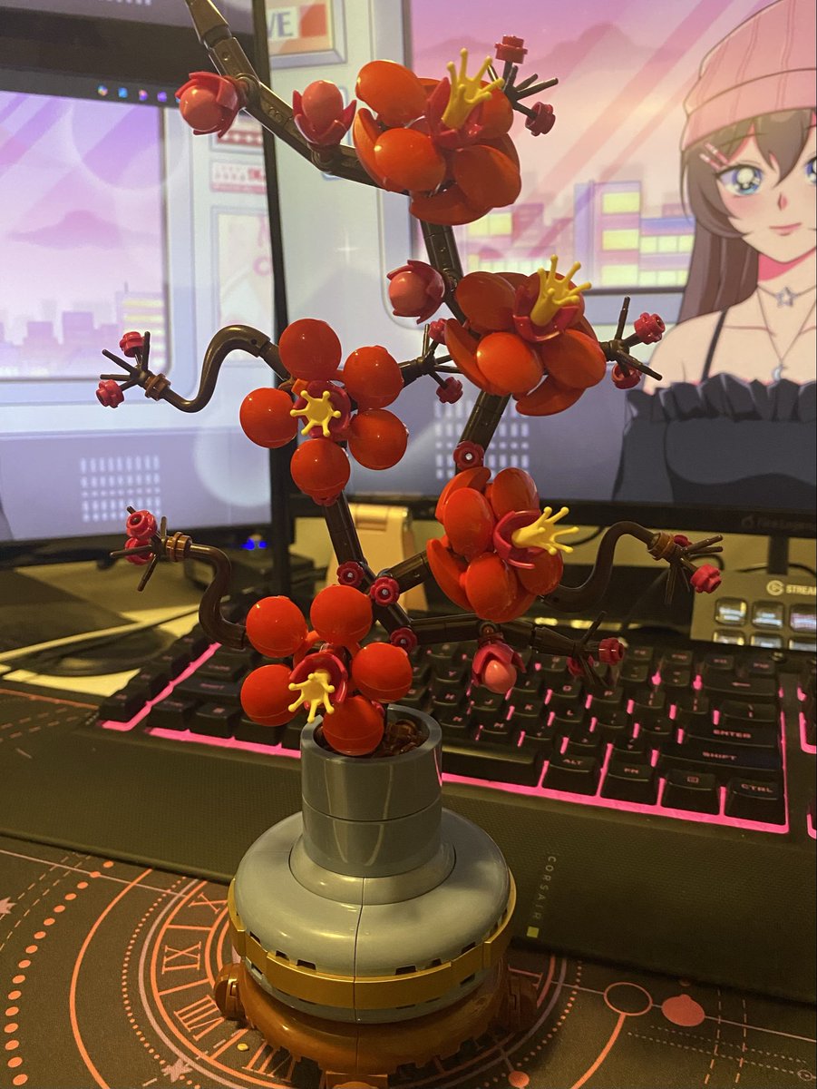 Bo Barley ✨🎀 tweet media