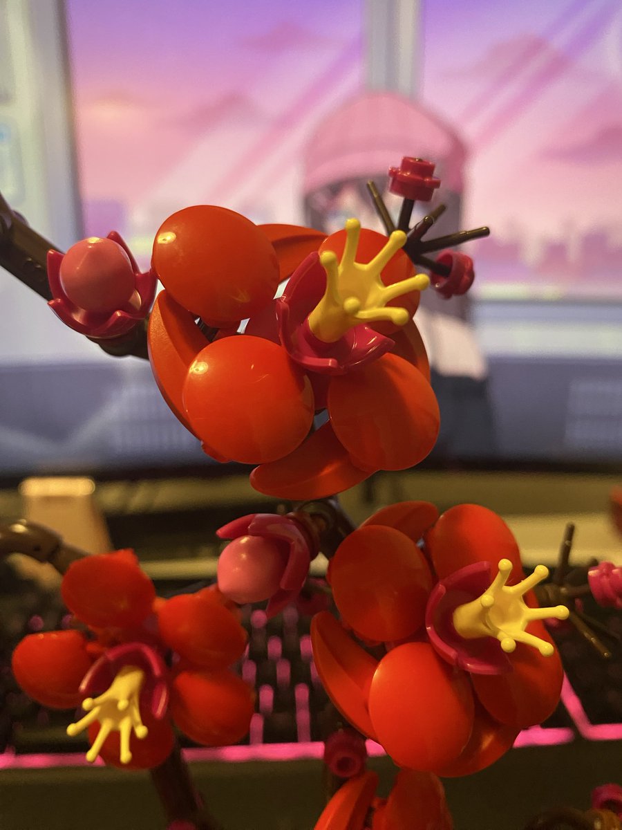 Bo Barley ✨🎀 tweet media