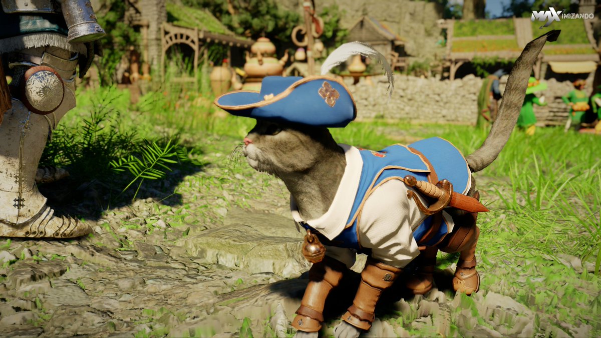 M4Ximizando tweet media