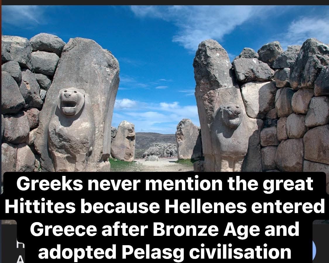 Lorena T. tweet media