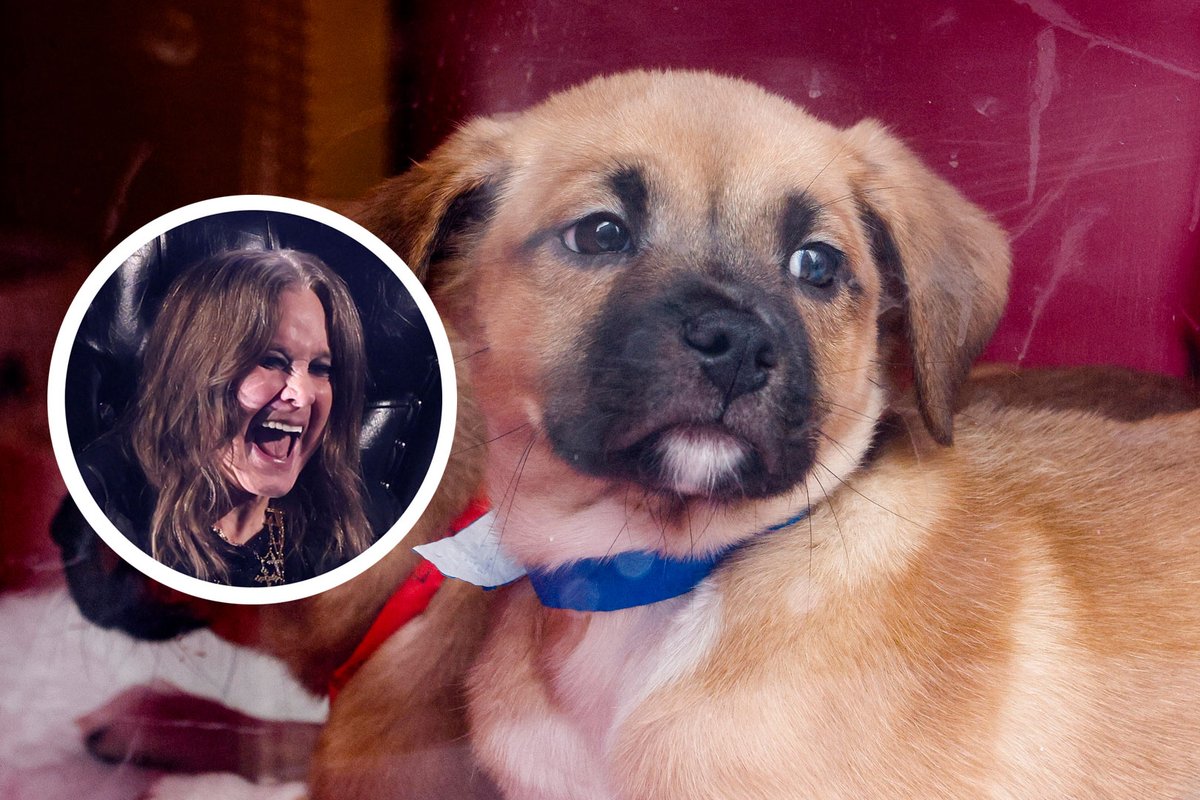 Loudwire tweet media