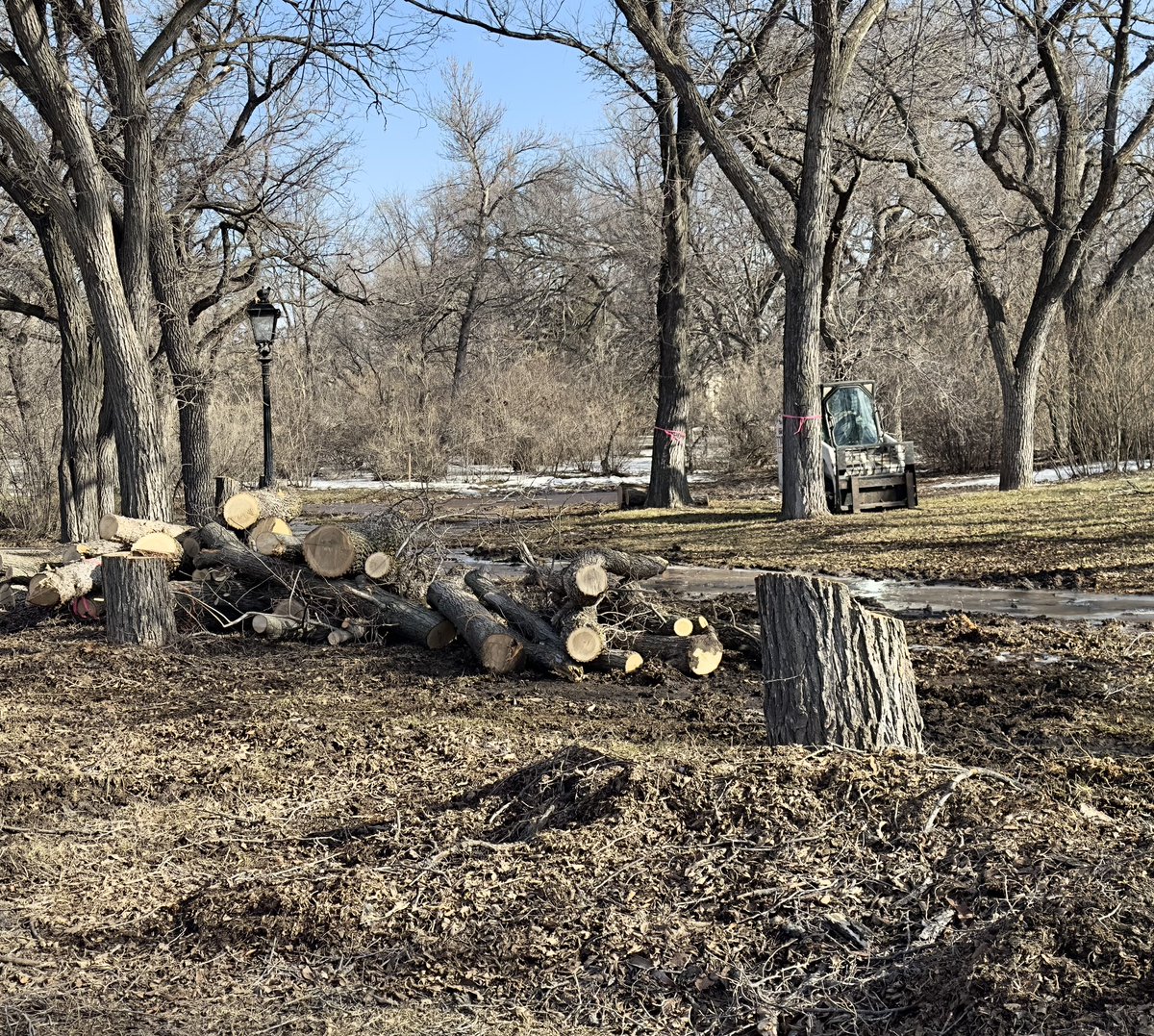 David Robert Loblaw tweet media