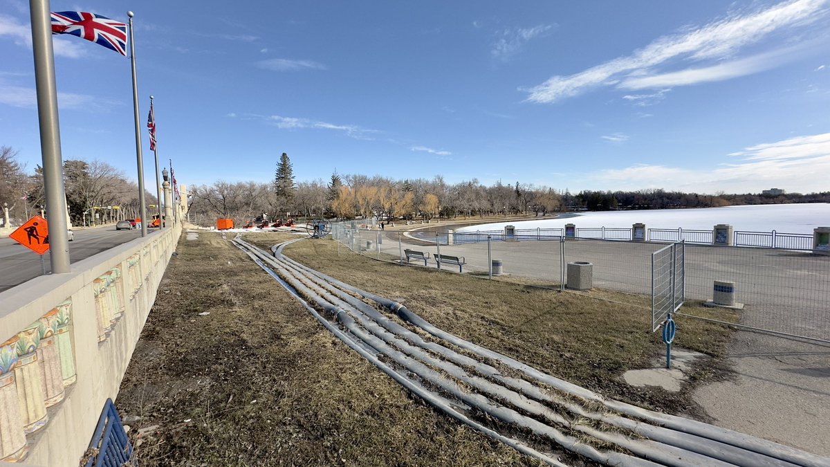 David Robert Loblaw tweet media