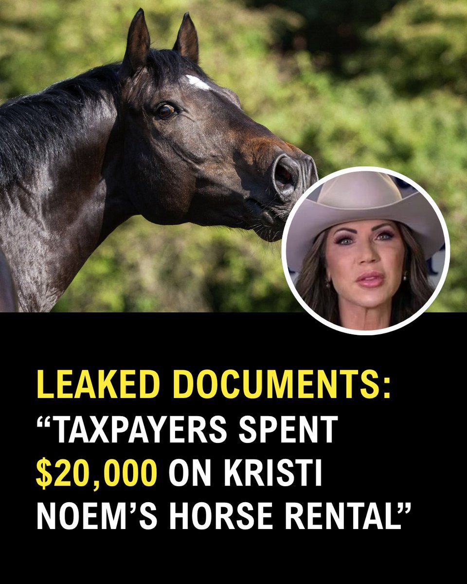 Governor Newsom Press Office tweet media