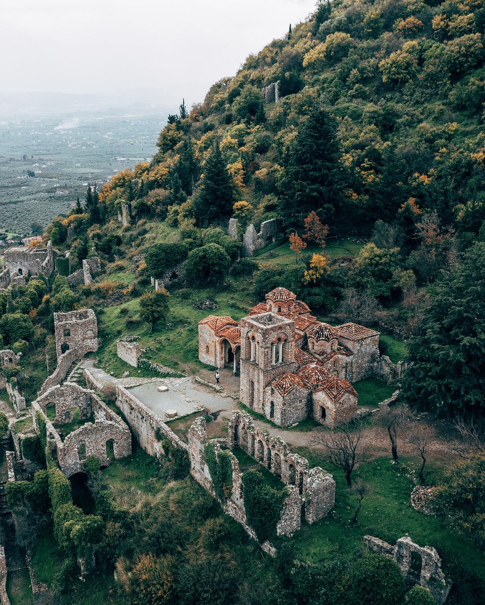 WanderLens tweet media