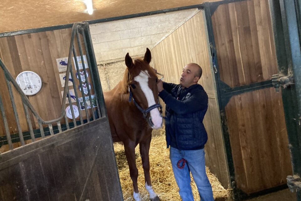 Oui Bourgogne-Franche-Comté tweet media