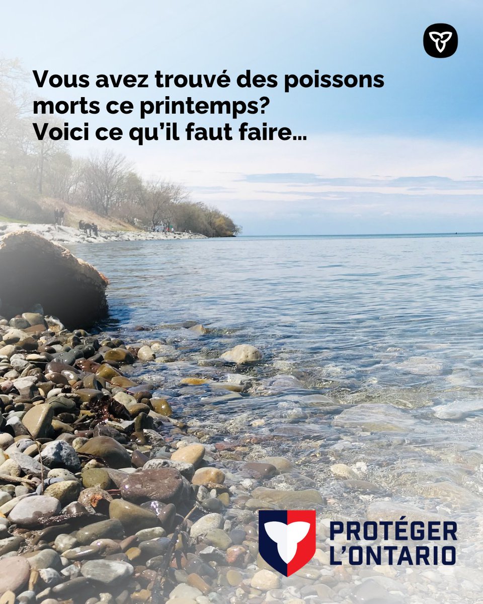 Pêche et Faune ON tweet media